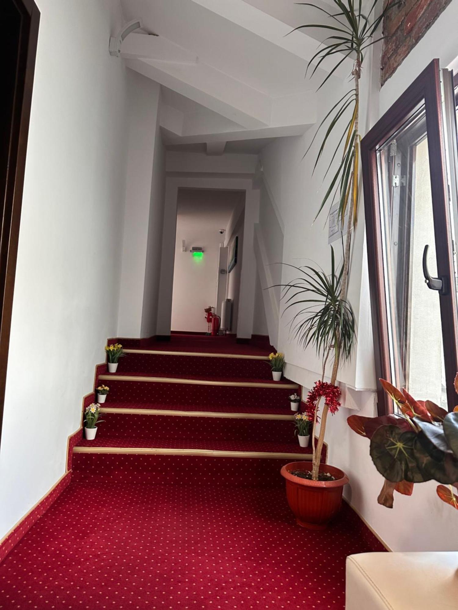 Pensiunea Sada Făgăraş Zewnętrze zdjęcie